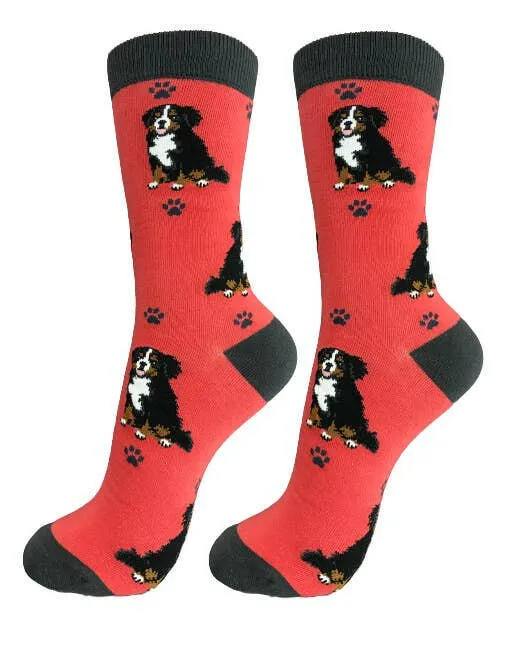 Bernese Mt. Dog Socks-Full Body