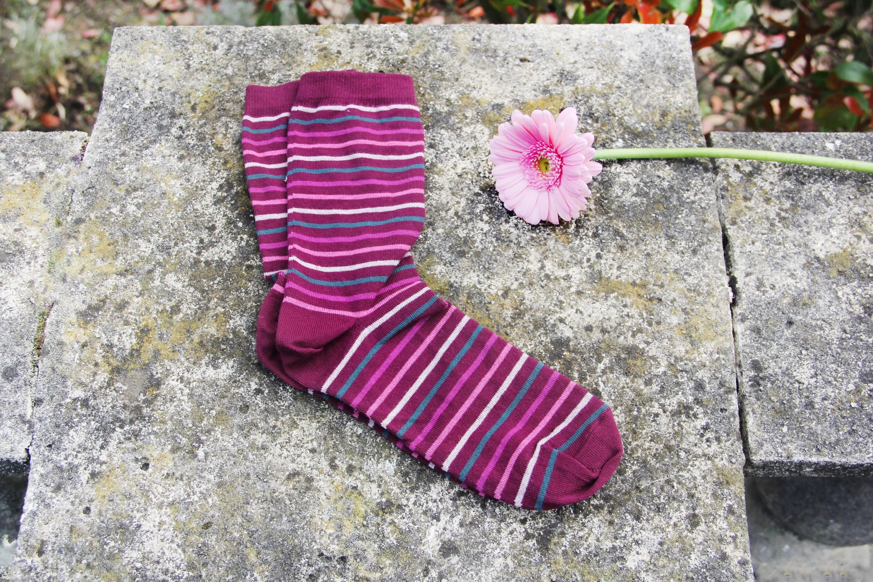 Burgundy Colour Stripe Socks