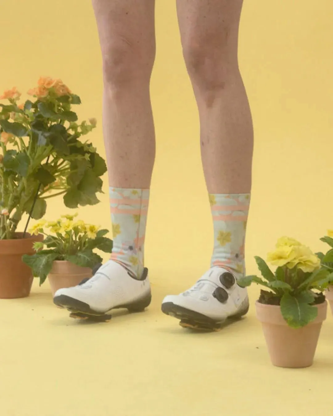 Performance Crew Socks - Morning Primrose