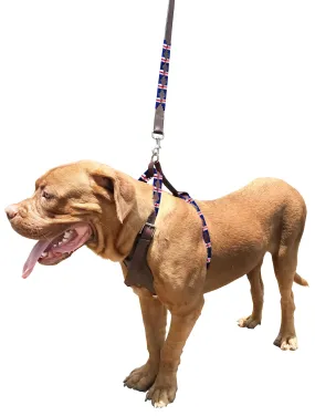 TINOGASTA - Polo Dog Harness & Lead Set